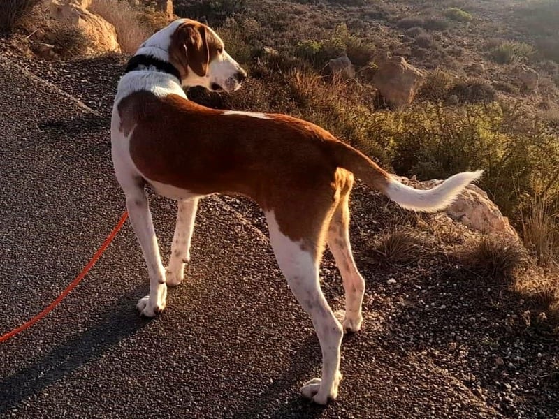 Cracker 10/2021 (in Deutschland) - ein treuer Begleiter!