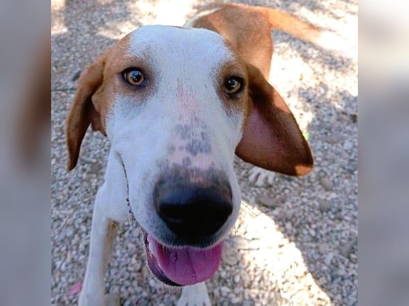 Cracker 10/2021 (in Deutschland) - ein treuer Begleiter!