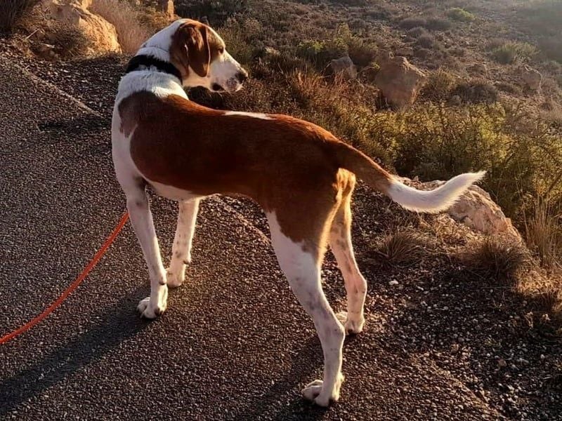 Cracker 10/2021 (in Deutschland) - ein treuer Begleiter!