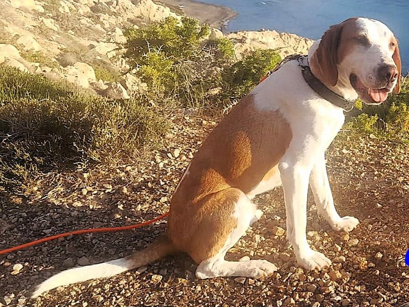 Cracker 10/2021 (in Deutschland) - ein treuer Begleiter!