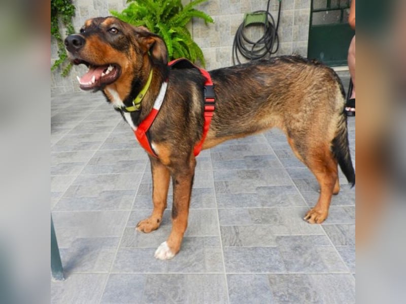 Zozefina sucht ein Zuhause