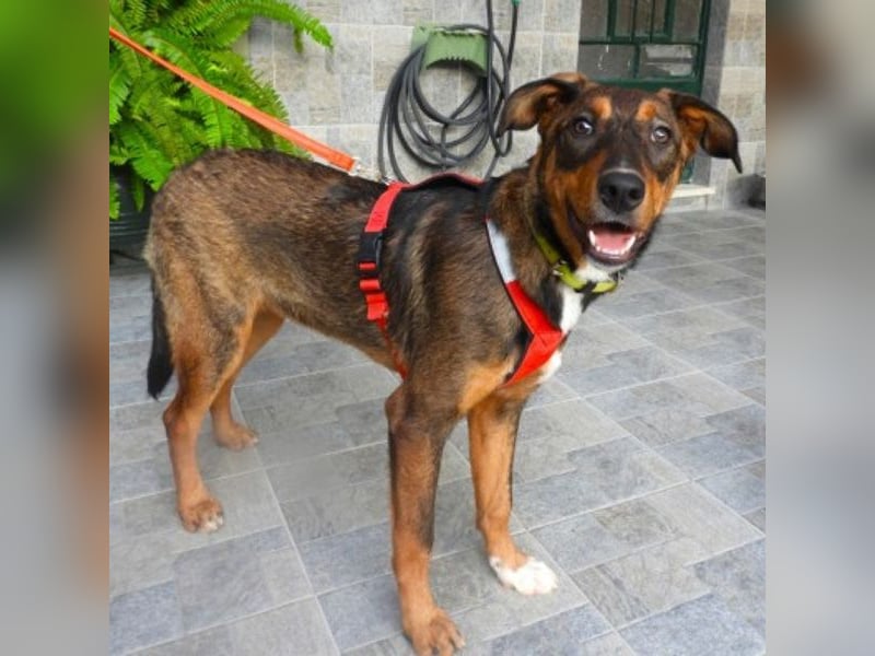 Zozefina sucht ein Zuhause