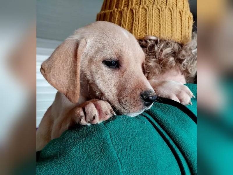 Truda – selbstbewusste, fröhliche und lernfreudige junge Dame ❣️