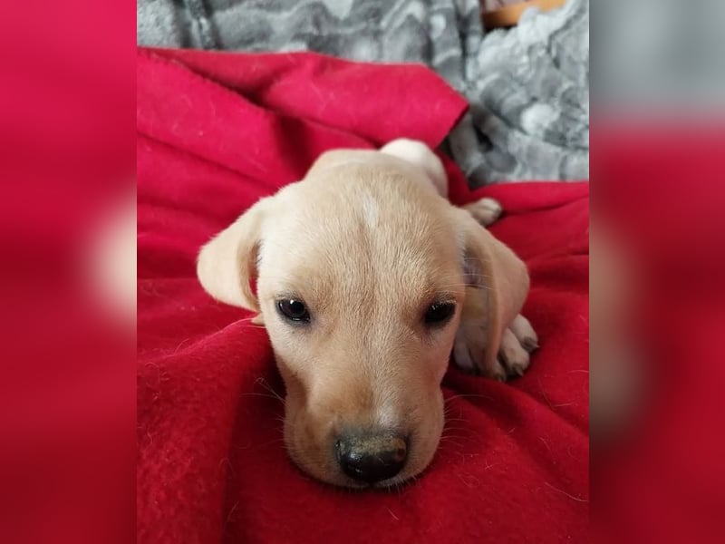 Truda – selbstbewusste, fröhliche und lernfreudige junge Dame ❣️