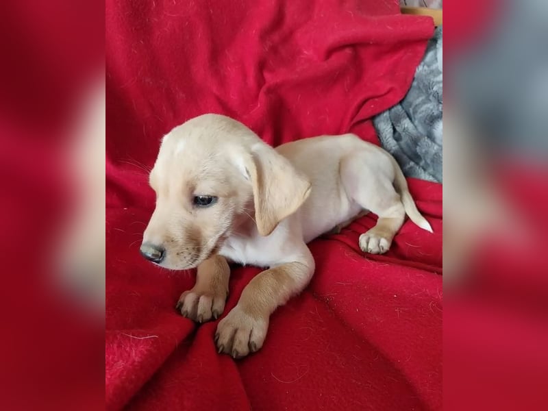 Truda – selbstbewusste, fröhliche und lernfreudige junge Dame ❣️