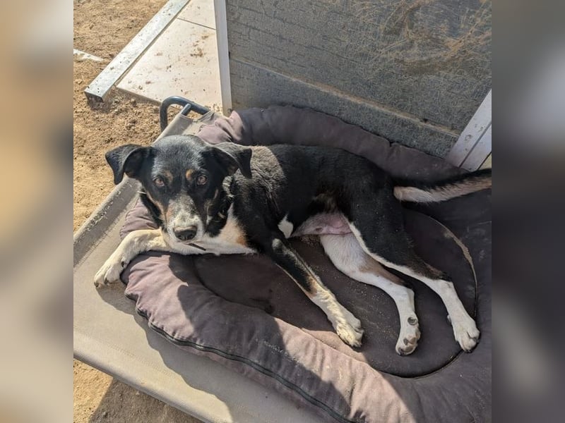 Ella – charmante Persönlichkeit mit Herz 