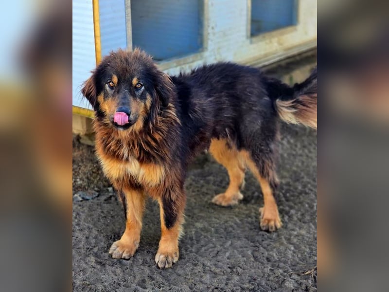 Thea – sanft und aufmerksam 