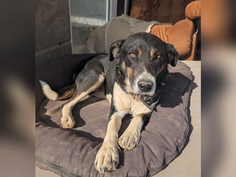 Ella – charmante Persönlichkeit mit Herz 