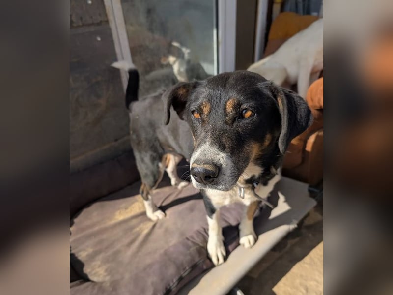 Ella – charmante Persönlichkeit mit Herz 