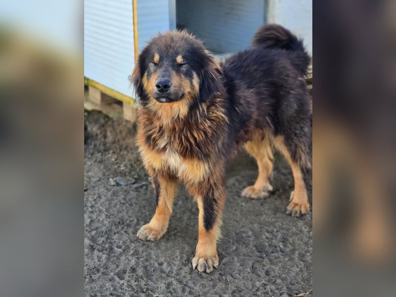 Thea – sanft und aufmerksam 