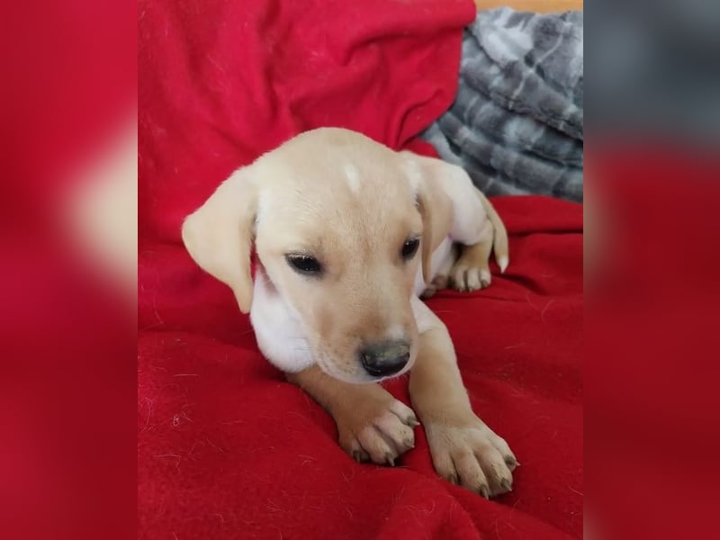 Truda – selbstbewusste, fröhliche und lernfreudige junge Dame ❣️