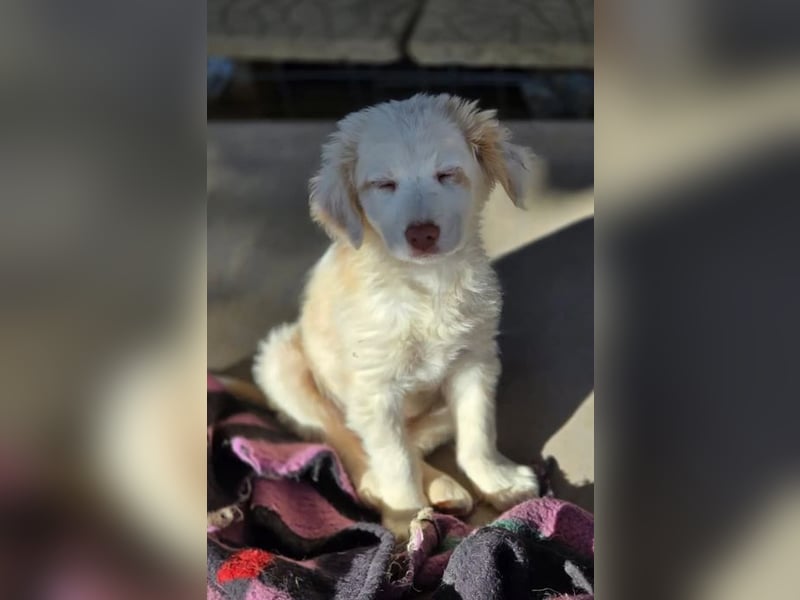 Krümel – interessiert, freundlich, noch etwas vorsichtig 