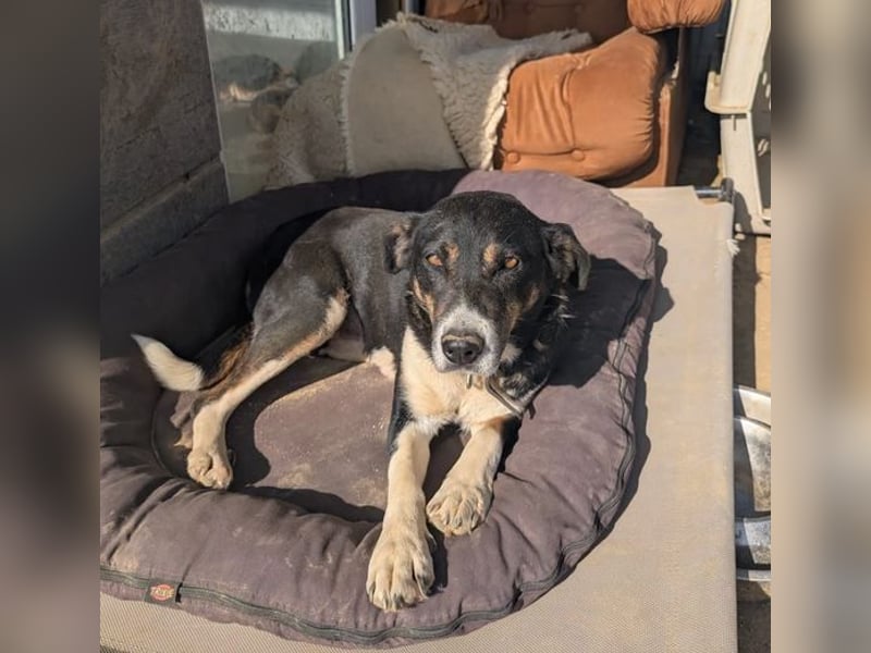 Ella – charmante Persönlichkeit mit Herz 