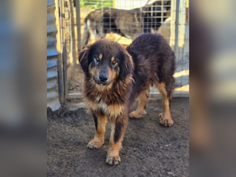 Thea – sanft und aufmerksam 