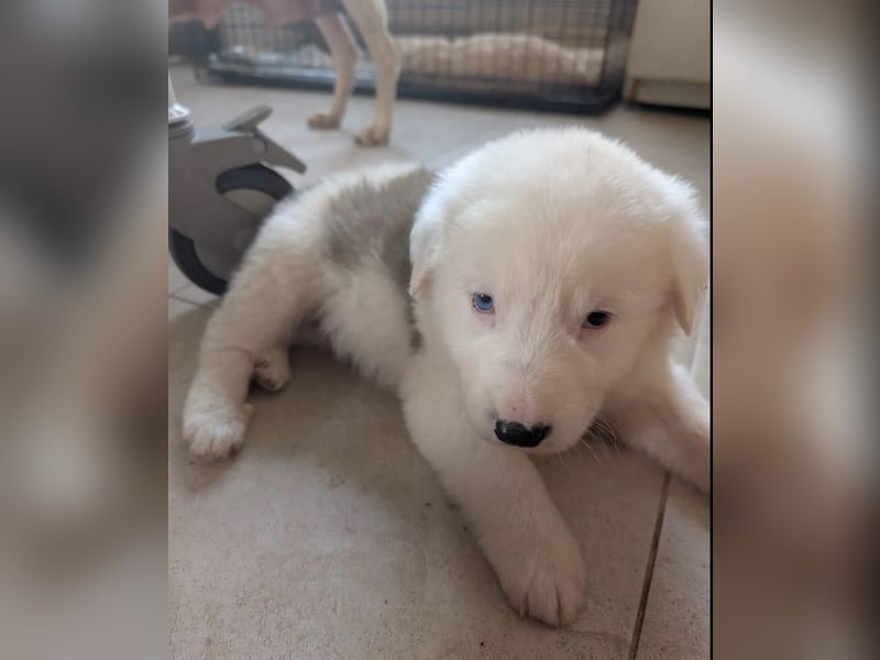 Einstein – mit den besonderen Augen 