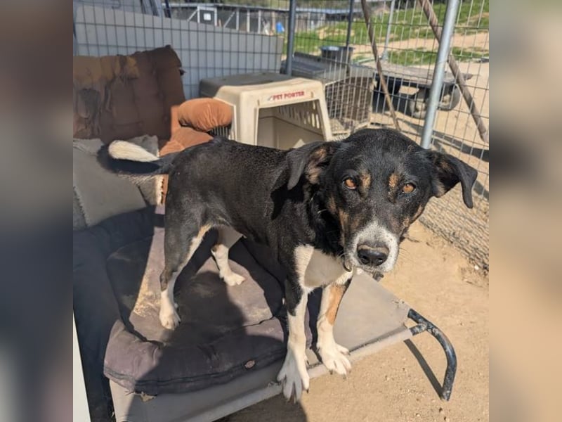 Ella – charmante Persönlichkeit mit Herz 