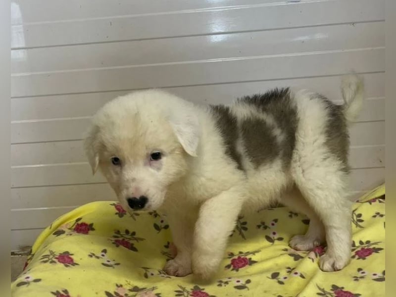 Einstein – mit den besonderen Augen 