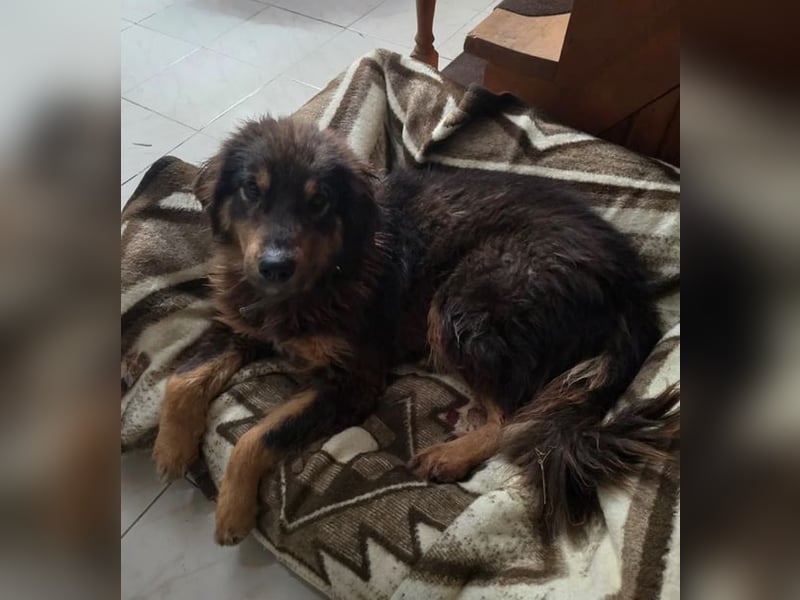 Thea – sanft und aufmerksam 