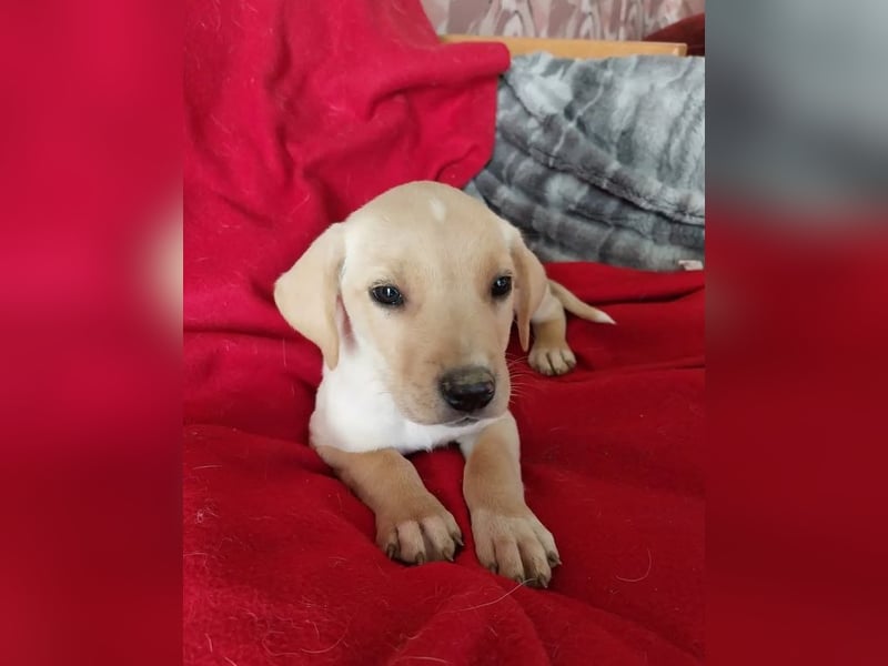 Truda – selbstbewusste, fröhliche und lernfreudige junge Dame ❣️