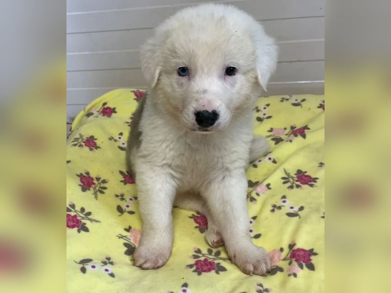 Einstein – mit den besonderen Augen 