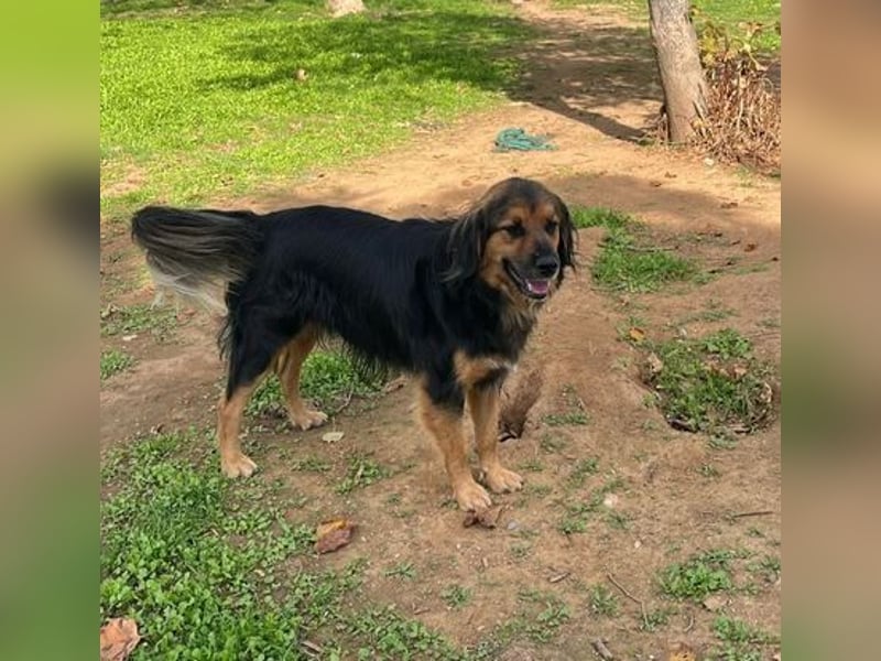 Chap ist ein ganz gutmütiger, aufgeschlossener und cooler Typ