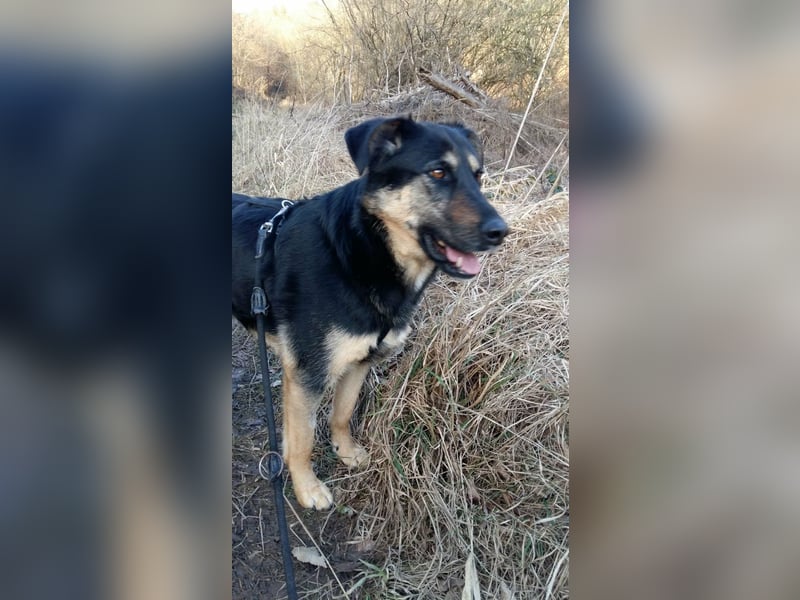 Olivia, Schönheit sucht eigenes Körbchen zum Bleiben