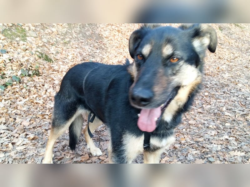 Olivia, Schönheit sucht eigenes Körbchen zum Bleiben