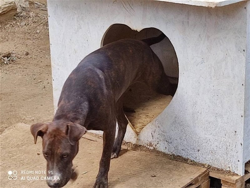 Hannah sucht ihre Familie