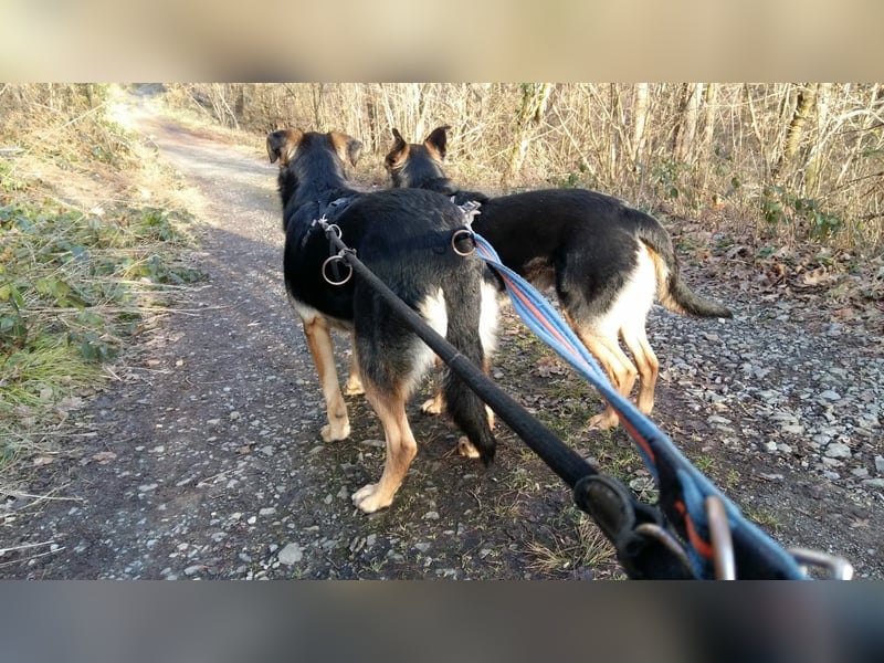 Olivia, Schönheit sucht eigenes Körbchen zum Bleiben