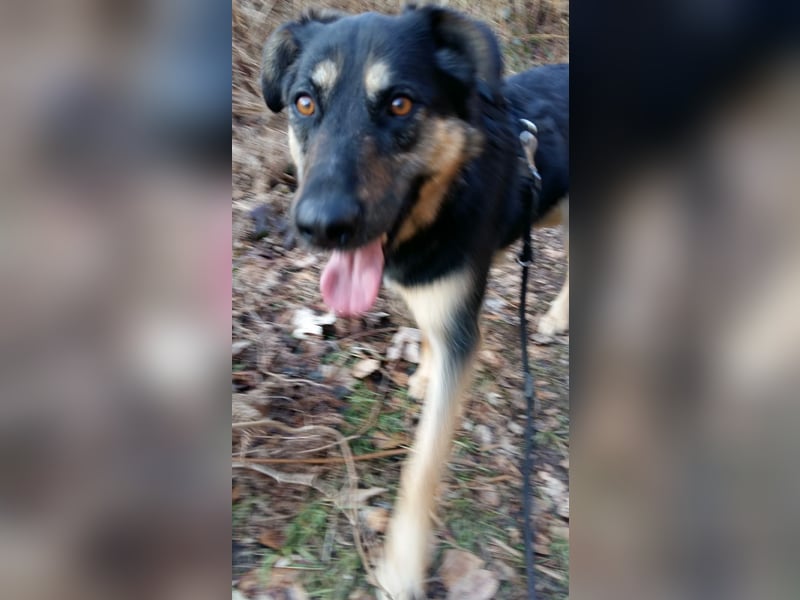 Olivia, Schönheit sucht eigenes Körbchen zum Bleiben