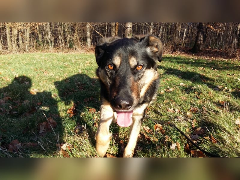 Olivia, Schönheit sucht eigenes Körbchen zum Bleiben