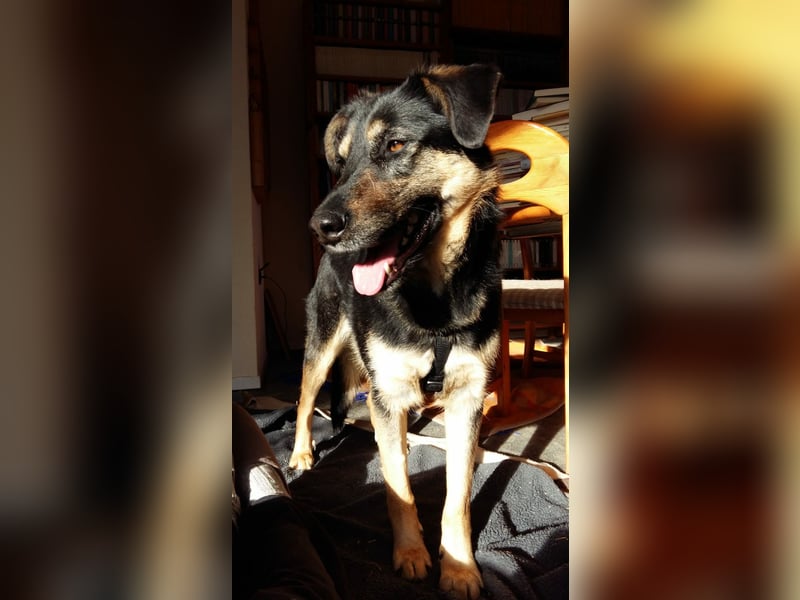 Olivia, Schönheit sucht eigenes Körbchen zum Bleiben