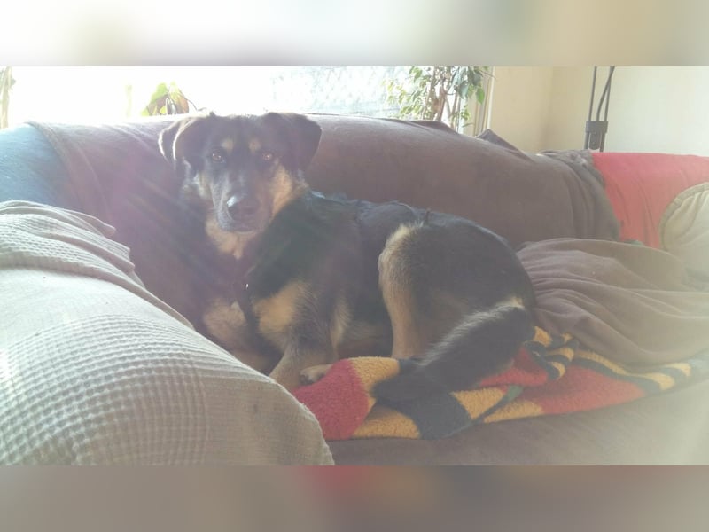 Olivia, Schönheit sucht eigenes Körbchen zum Bleiben