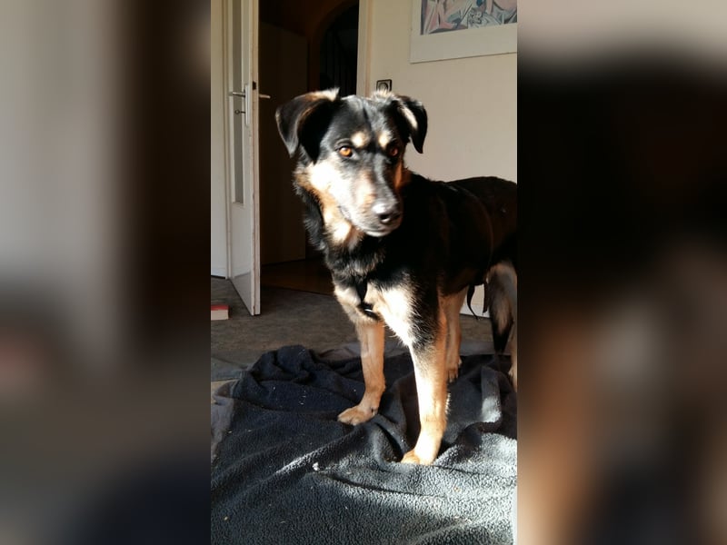 Olivia, Schönheit sucht eigenes Körbchen zum Bleiben