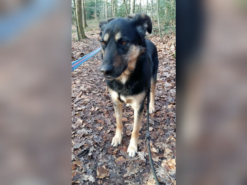 Olivia, Schönheit sucht eigenes Körbchen zum Bleiben