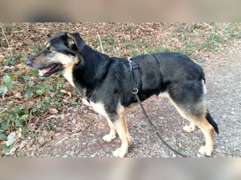 Olivia, Schönheit sucht eigenes Körbchen zum Bleiben