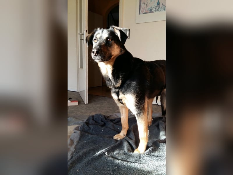 Olivia, Schönheit sucht eigenes Körbchen zum Bleiben