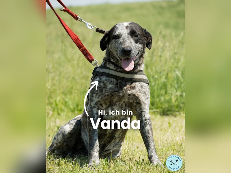 Vanda SI, liebevoll und freundlich