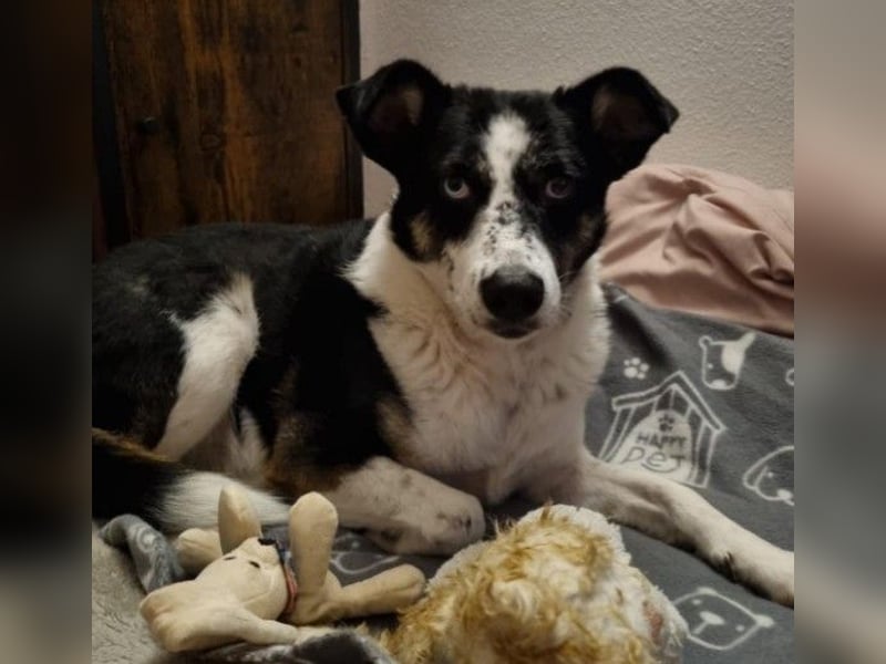 Mila sucht ihre Familie