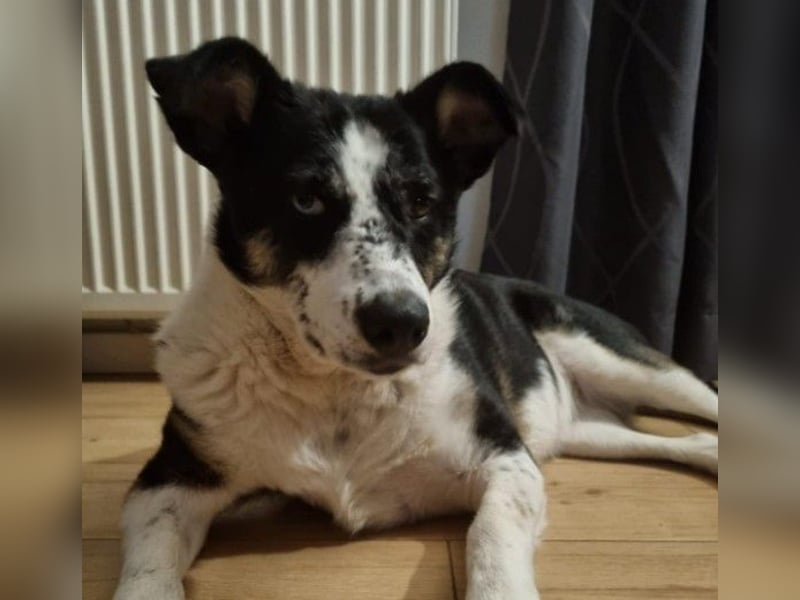 Mila sucht ihre Familie