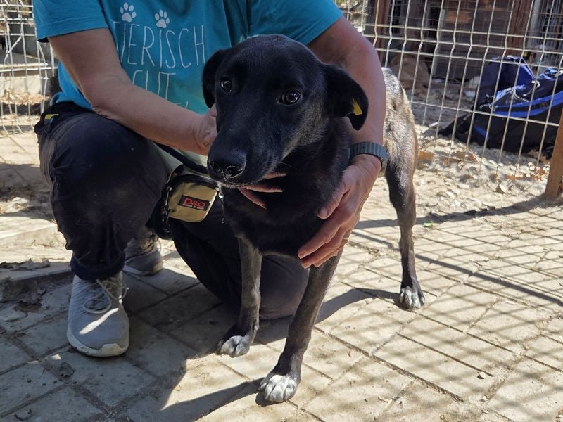 ♥LANA♥ viel zu dünne, sanfte, zarte Seele mit einer stillen und liebevollen Art 52 cm