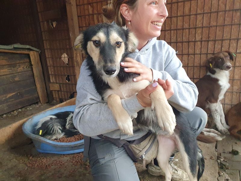 ♥ISABELLA♥ neu auf PS bei Köln - unglaublich verschmuste Schönheit mit ganz weichem Fell 51cm