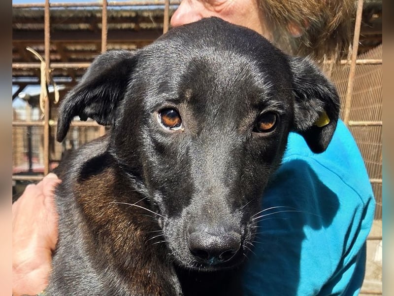 ♥LANA♥ viel zu dünne, sanfte, zarte Seele mit einer stillen und liebevollen Art 52 cm