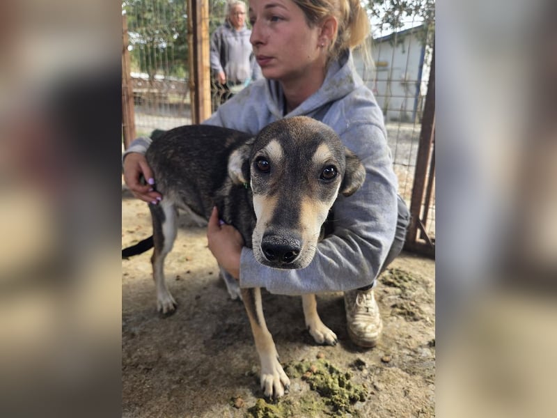 ♥DENNIS♥ wunderschöner, ganz sanfter, feiner kleiner Schatz 51 cm