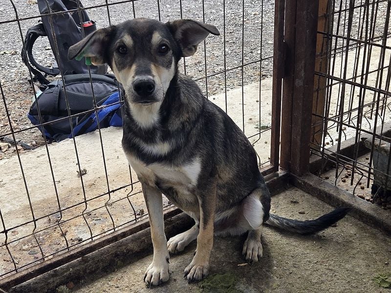 ♥DENNIS♥ wunderschöner, ganz sanfter, feiner kleiner Schatz 51 cm