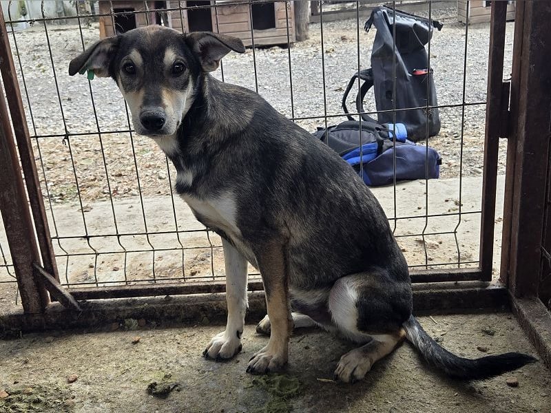 ♥DENNIS♥ wunderschöner, ganz sanfter, feiner kleiner Schatz 51 cm