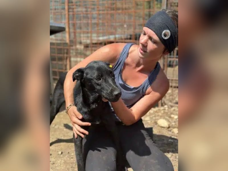 ♥MAYRA♥ verschmuste, äußerst menschenbezogene, wunderschöne zarte schwarze Junghündin 53 cm