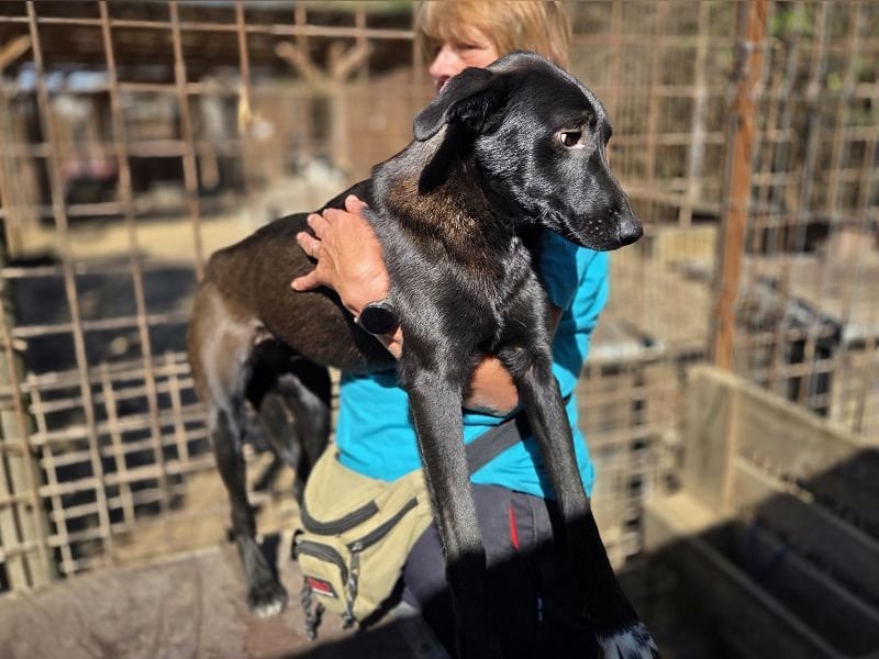 ♥LANA♥ viel zu dünne, sanfte, zarte Seele mit einer stillen und liebevollen Art 52 cm