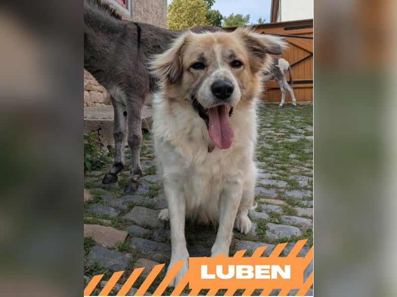 Luben