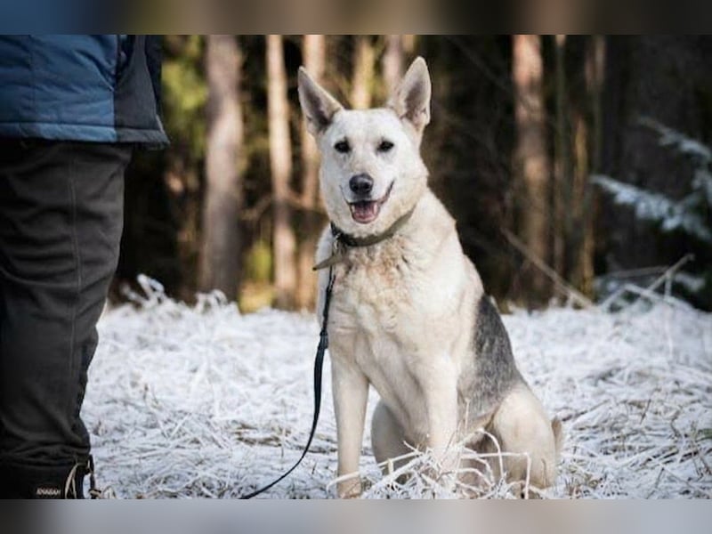 Kumi ❤️ sehnt sich nach ihren Herzensmenschen